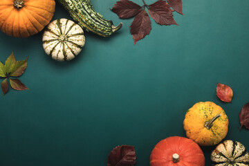 Autumn background with pumpkin collection