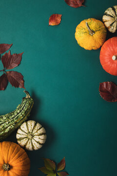 Autumn background with pumpkin collection