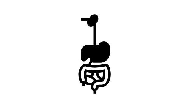 digestive system animated line icon. digestive system sign. isolated on white background