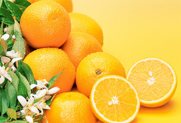 Laranja com folhas e flores no fundo Amarelo