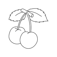 Cherry branch contour, hand drawn vector drawing