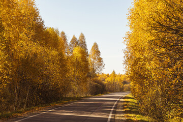 Obraz premium Deserted autumn road on a sunny warm day