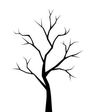 Vector black silhouette of a bare tree isolated on a white background.