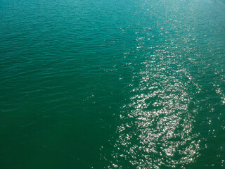 Mata Atlântica litoral Tropical