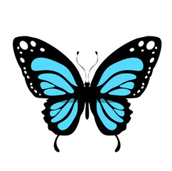 Color butterfly icon, isolated on white background. Vector