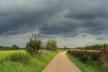Country road with a hedge and a fence along it between the meadows with trees under a dark cloudy sky.