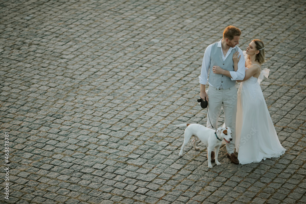 Wall mural High angle view at young newlywed couple with their Jack Russel Terrier dog