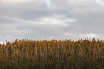 Fototapeta premium Panorama natural field and mount with sky