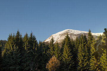 autumn scenery in the mountains