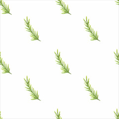 Watercolor pattern with green coniferous branches on a white background. Vector seamless pattern.