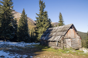 autumn scenery in the mountains