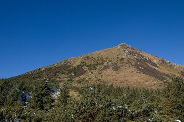 autumn scenery in the mountains