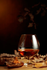 Snifter of brandy and dried-up oak leaves.