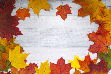 Naklejka na ściany i meble Frame of autumn maple leaves. orange and yellow