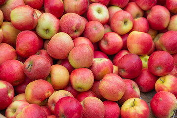 Top view of red ripe apples