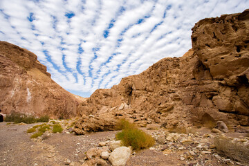 red rock in the desert