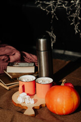 stylish autumn outdoor picnic thermos books and pumpkin
