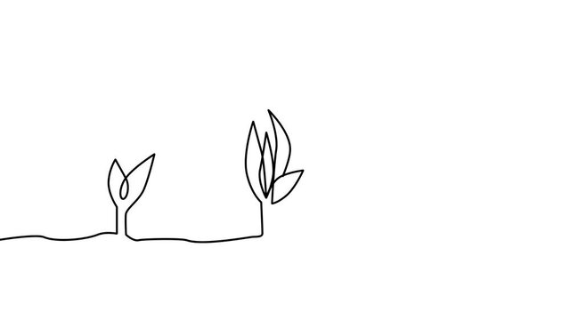 A continuous line of small to large sprouts self-draws. plant growing line art doodle draw process