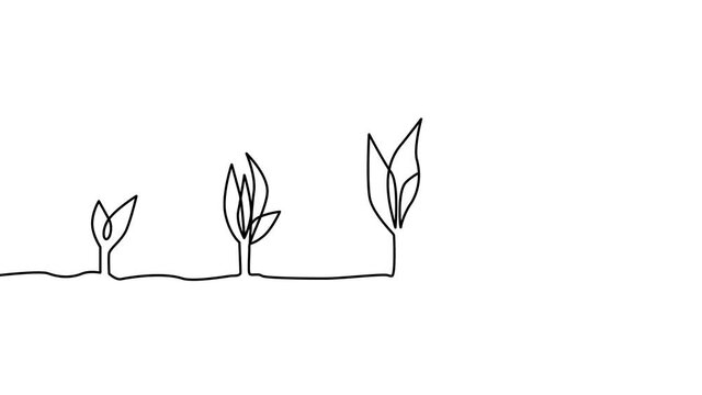 A continuous line of small to large sprouts self-draws. plant growing line art doodle draw process