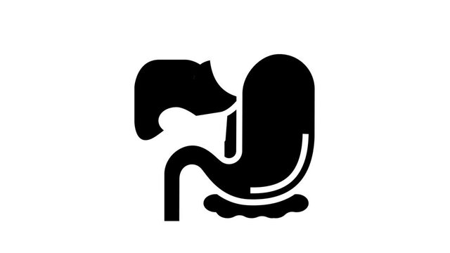 gastrointestinal tract animated glyph icon. gastrointestinal tract sign. isolated on white background