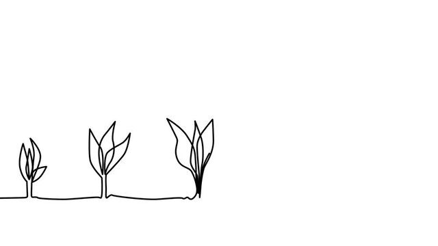 A continuous line of small to large sprouts self-draws. plant growing line art doodle draw process