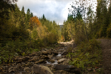 Fototapeta na wymiar autumn scenery in the mountains