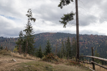 autumn scenery in the mountains