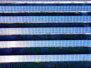 Aerial view of a drone overlooking large solar panels standing in a row on a solar farm in bright sunlight. 