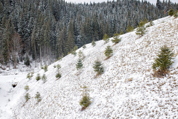 snow covered mountains