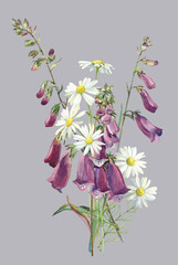Watercolor bouquet wild flowers foxglove and daisies - obrazy, fototapety, plakaty