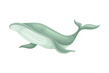 Whale as Aquatic Placental Marine Mammal with Flippers and Large Tail Fin Closeup Vector Illustration
