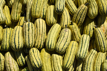 Delicata squashes background.