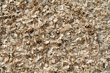 Wood shavings after cutting logs