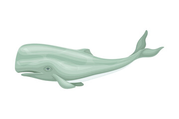Sperm Whale or Cachalot as Aquatic Placental Marine Mammal with Flippers and Large Tail Fin Closeup Vector Illustration