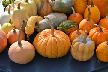 Autumn pumpkins background
