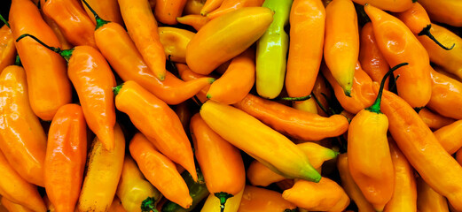 chili pepper peruvian