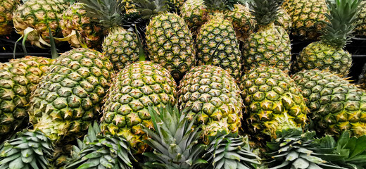 Close up Pineapple