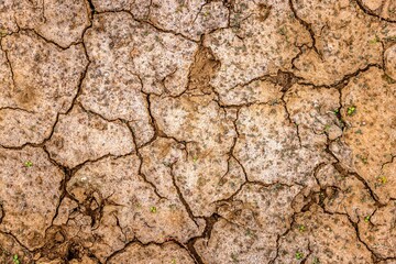 Cracked up dried soil as background texture