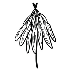 Black and white drawing of a Christmas tree. A doodle of a stylized tree. Vector contour illustration of a fir tree in cartoon style for coloring, print, logo, icon, sticker and design with nature.