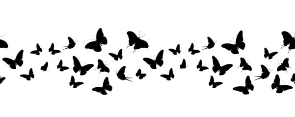 Plakat Seamless flock of silhouette black butterflies on white background. Vector