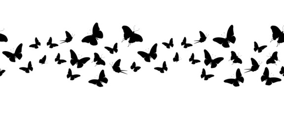 Seamless flock of silhouette black butterflies on white background