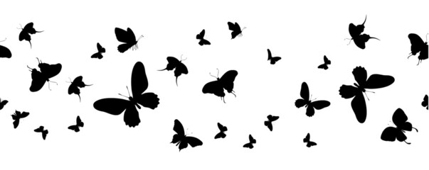 Fototapeta na wymiar Seamless flock of silhouette black butterflies on white background. Vector