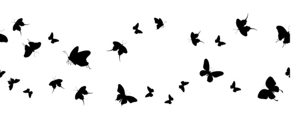 Fototapeta na wymiar Seamless flock of silhouette black butterflies on white background. Vector