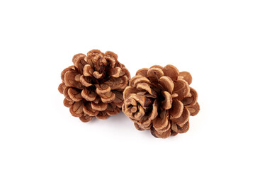 Pine cones isolated on a white background, photography