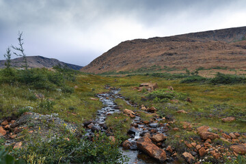 landscape in the mountains