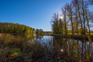 Trees and channels on the island Drottningholm an colorful autumn day in Stockholm,