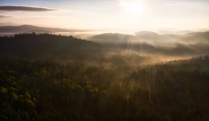 Nebliger Herbstmorgen im Bayerischen Wald