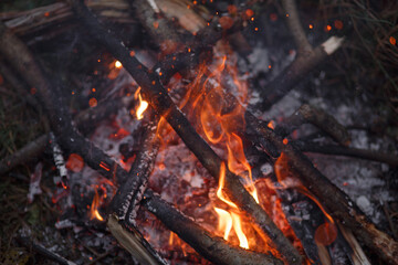 Close-up of a campfire. Bonfire.