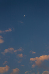 Flying in the sky