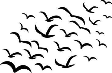 Silhouettes of groups of  birds on white. Vector